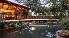 A Tropical Treat - Sea Level Port Douglas